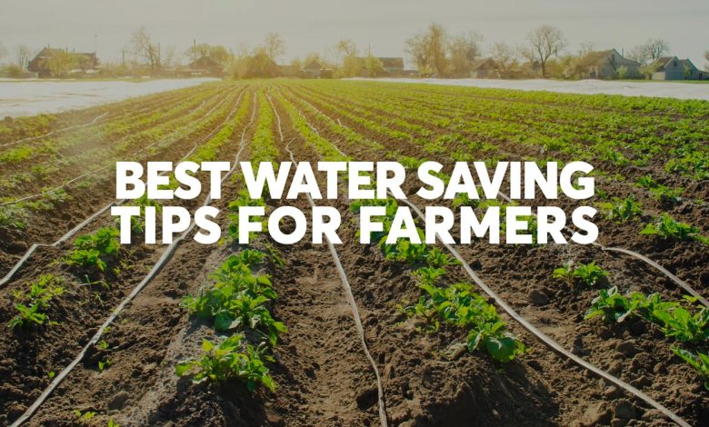 Best Water Saving Tips for Farmers