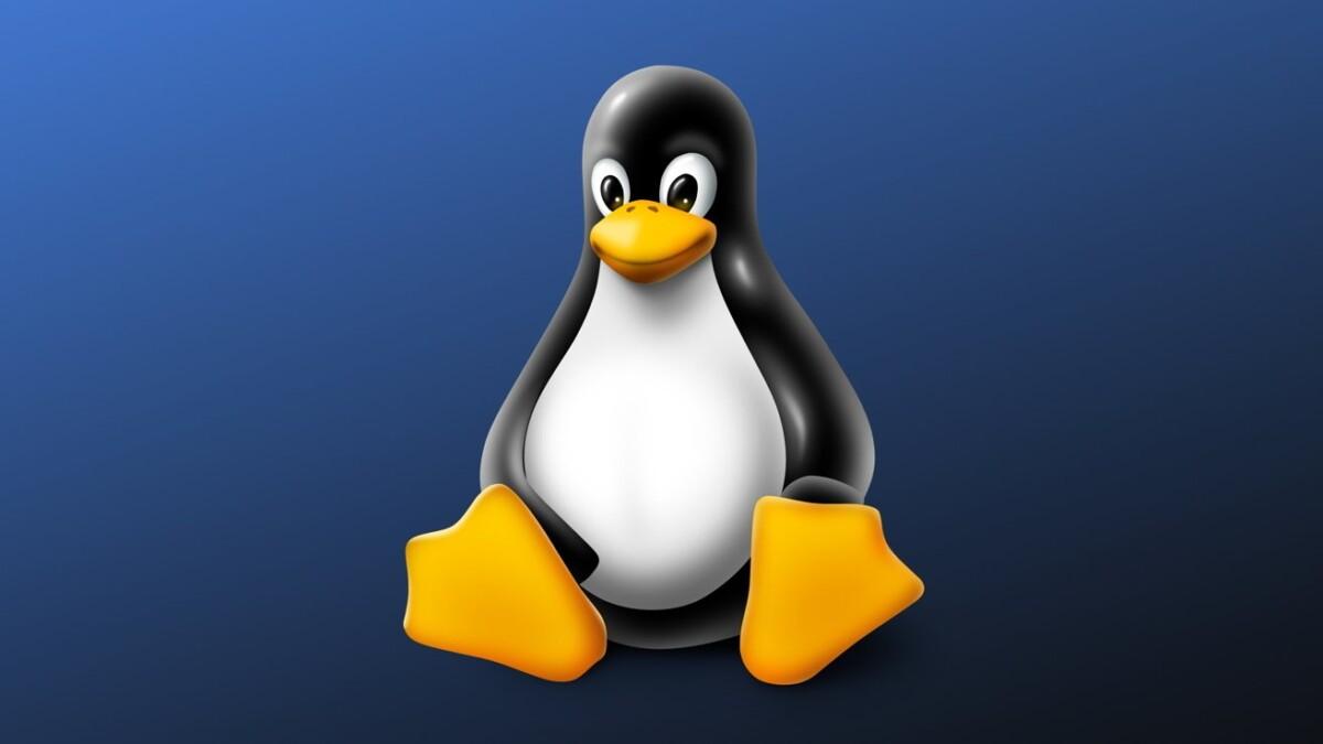 Linux: why is it so popular with users? - Pakhotin